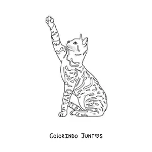 Desenho para colorir de um gato realista com manchas