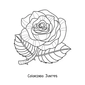 Desenho para colorir de uma rosa grande com folhas e espinhos