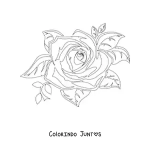 Desenho para colorir de uma rosa grande realista com folhas