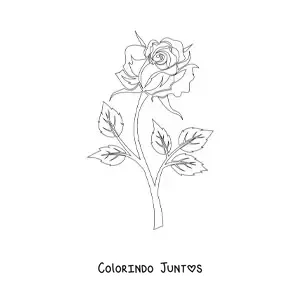 Desenho para colorir de uma rosa com caule