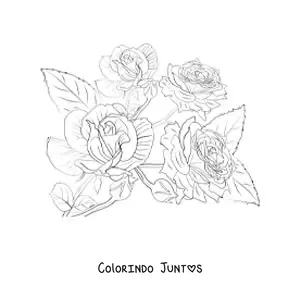 Desenho para colorir de quatro rosas lindas realistas com folhas