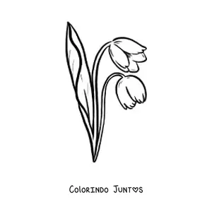 Desenho para colorir de um par de tulipas com folhas