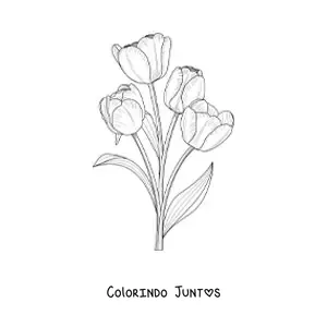 Desenho para colorir de quatro tulipas realistas