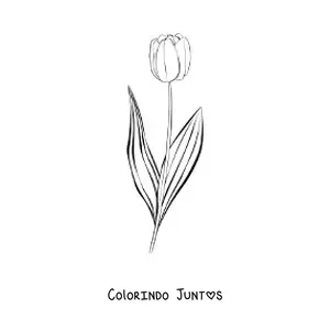 Desenho para colorir de uma tulipa pequena com folhas