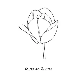 Desenho para colorir de uma tulipa grande