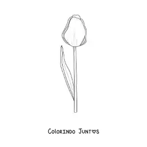 Desenho para colorir de uma tulipa