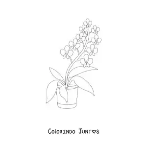 Desenho para colorir de um vaso com orquídeas phalaenopsis