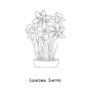 Desenho para colorir de várias orquídeas cattleya em um vaso