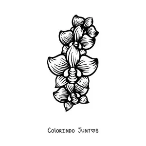 Desenho para colorir de três orquídeas grandes