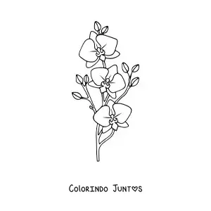Desenho para colorir de um ramo de três orquídeas phalaenopsis