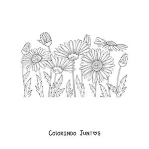 Desenho para colorir de um campo de margaridas