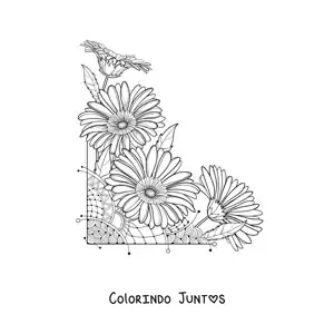 Desenho para colorir de quatro margaridas lindas