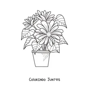 Desenho para colorir de um vaso com margaridas