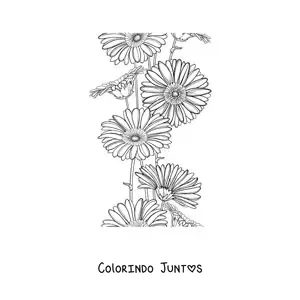 Desenho para colorir de várias margaridas