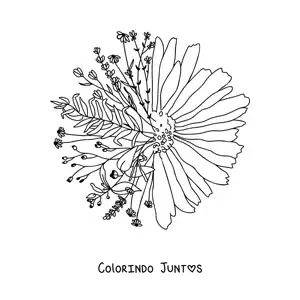 Desenho para colorir de uma margarida linda