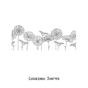 Desenho para colorir de um campo cheio de margaridas