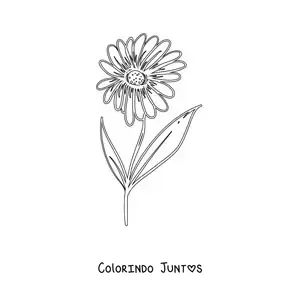 Desenho para colorir de uma margarida com folhas