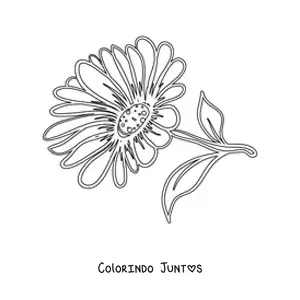 Desenho para colorir de uma margarida