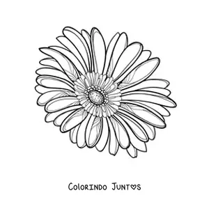 Desenho para colorir de uma margarida grande realista