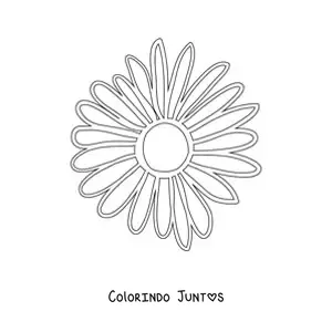 Desenho para colorir de uma margarida grande simples