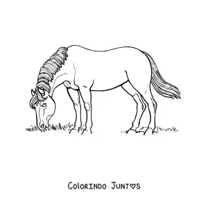 Desenho para colorir de um cavalo pastando no campo