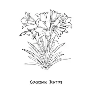 Desenho para colorir de vários lírios no campo