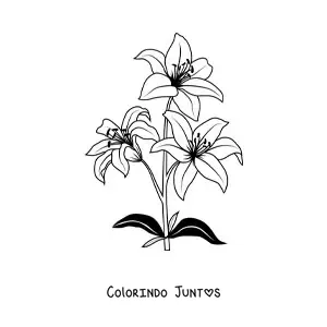 Desenho para colorir de três lírios
