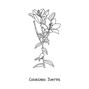 Desenho para colorir de dois lírios com folhas