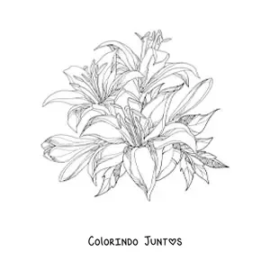 Desenho para colorir de um cacho de lírios realistas com folhas