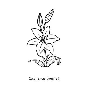 Desenho para colorir de um lírio simples com folhas