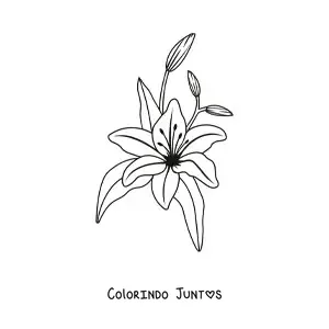 Desenho para colorir de um lírio com folhas