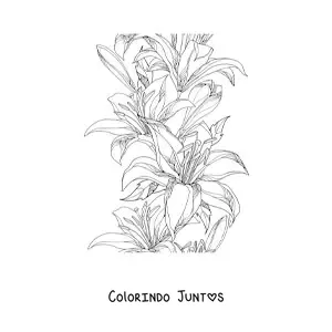 Desenho para colorir de vários lírios selvagens realistas