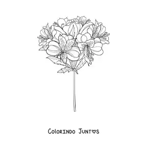 Desenho para colorir de um buquê de lírios realistas