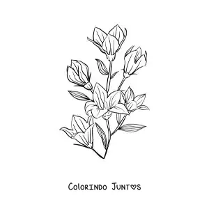 Desenho para colorir de vários lírios com folhas