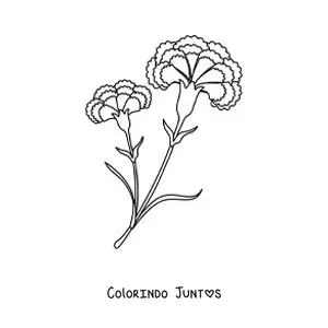 Desenho para colorir de dois cravos lindos