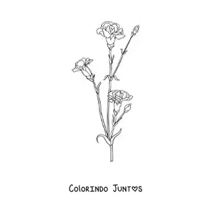 Desenho para colorir de três cravos pequenos