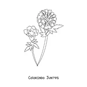 Desenho para colorir de dois cravos com folhas