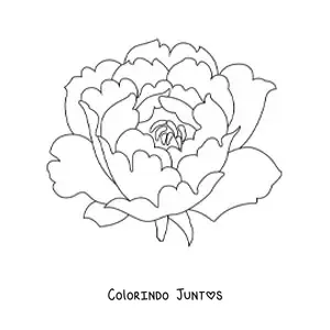 Desenho para colorir de um cravo grande