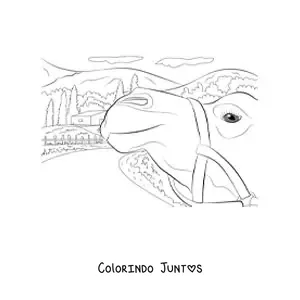 Desenho para colorir de um camelo com uma casa ao fundo