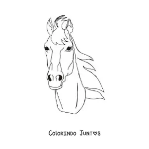 Desenho para colorir de uma cabeça de cavalo olhando de frente