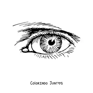 Desenho para colorir de um olho realista