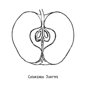Desenho para colorir de meia maçã