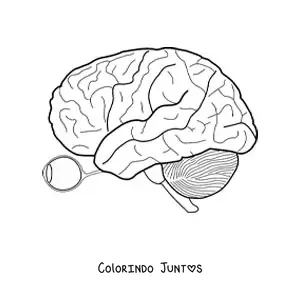 Desenho para colorir de um olho e o nervo óptico que o conecta ao cérebro