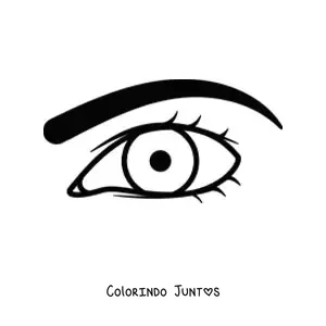 Desenho para colorir de um olho masculino com sobrancelha