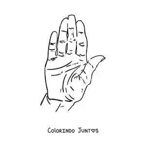 Desenho para colorir da palma da mão