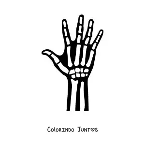 Desenho para colorir de uma radiografia da mão direita