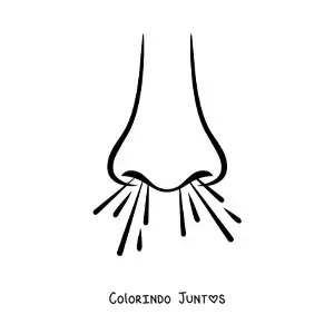 Desenho para colorir de um nariz respirando