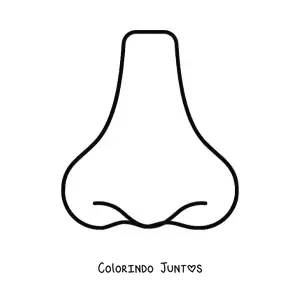 Desenho para colorir de um nariz simples