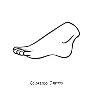 Desenho para colorir de um pé humano
