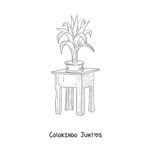 Desenho para colorir de uma planta sobre uma mesa quadrada pequena